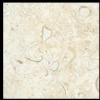 Coquina Limestone
