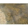 Natura Golden Exotic Granites