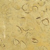 Sell Vratza Shellstone