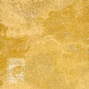 Angelica Polished