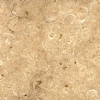 Coquina Limestone