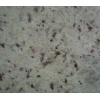 Branco Marfim Granite