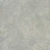 Seagrass Limestone