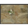 Scabos gold travertine pattern set