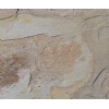 Indian Autumn slate