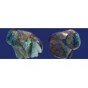 LABRADORITE Sculptures