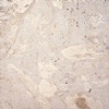 Coral Stone