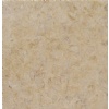 Jerusalem Desert Gold Fossil
