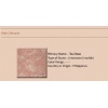 Rojo Cebuano - Tea Rose Marble