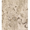 Aurisina Fiorita Lumachella Marble