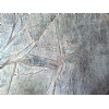 Rainforest Green Marble