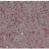 Quartz-NS60321