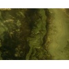 Antique green marble