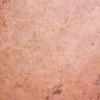 Peach Travertine