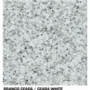 Branco Ceara