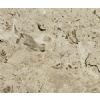 Aurisina Fiorita Limestone