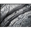 Kenya Black Marble