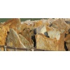 Quartzite Gold Flagstone