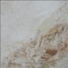Breccia Aurora