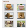 Stone Artifacts