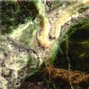 Smeralda Onyx