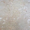 Crema Tropical, Crema Toba Grey Marble