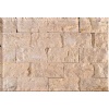 Split Face Mosaic
