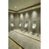 Granite Wall Floor Tile