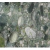 Green Marinace