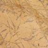 Amarillo Rey Marble