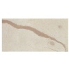 Adria Grigio Venato marble