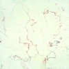 Harmankaya Beige Marble Quarry
