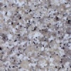 Bianco Luna Pearl granite