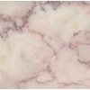 Rosa Coral Pink