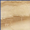 Breccia Sarda -  Daino Reale