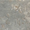 Fossil Green
