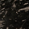Fossil Black