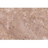 Breccia Tavira marble
