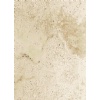 Antique Travertine tiles