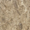 Aurisina Fiorita Limestone