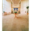 Pierre De Bourgogne Floor Tiles