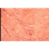Spring Rose Red