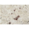 Bianco Romano