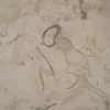 Berlato Mini Marble