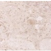 Lymra Fossil Limestone