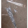 Amazon Fossil Limestone