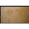 Amarelo Negrais Marble