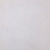 White Bianco Sivec