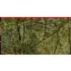Rainforest Green Marble