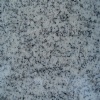 Granite Sesame White G3765